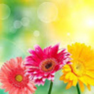 Meet your Posher, Jeanette